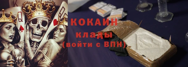 гидра Михайловск