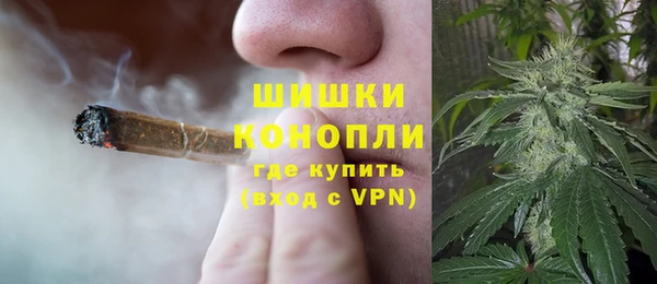 трава Аша