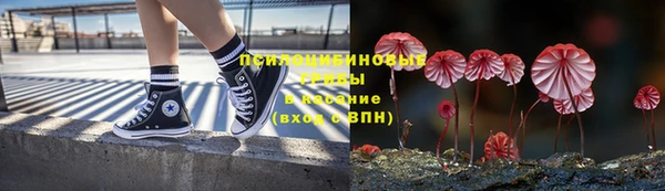 гидропоника Ахтубинск