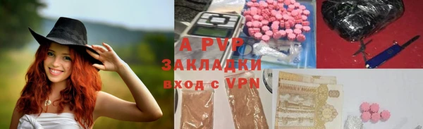 гидра Михайловск