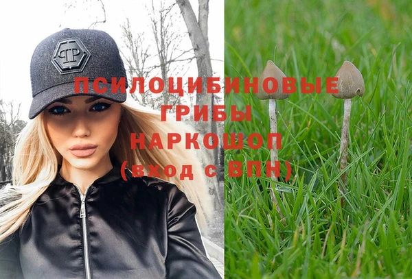 гидра Михайловск