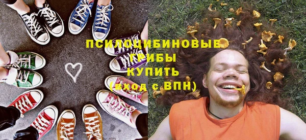 мескалин Медвежьегорск