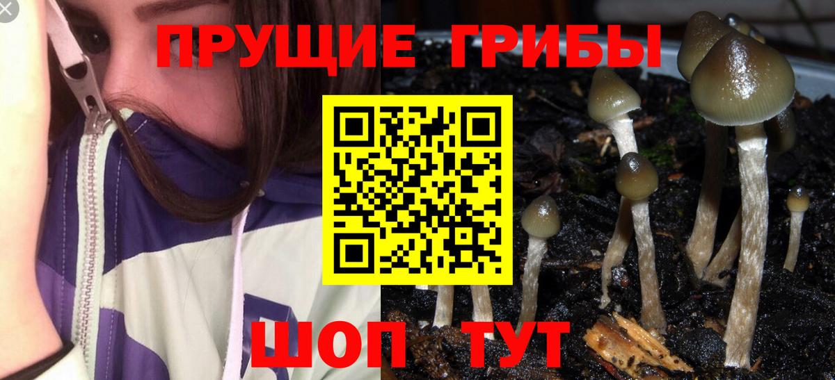 Галлюциногенные грибы Magic Shrooms Тобольск
