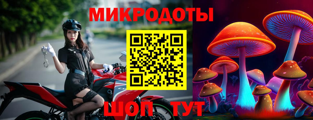 Галлюциногенные грибы Psilocybe  Тобольск  Галлюциногенные грибы Psilocybine cubensis 