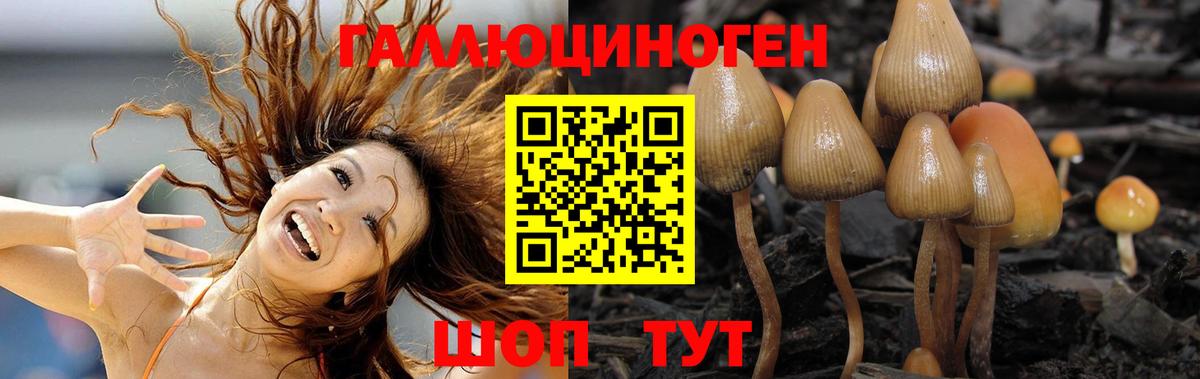 закладка  Вход с VPN  Тобольск  Галлюциногенные грибы Psilocybine cubensis 